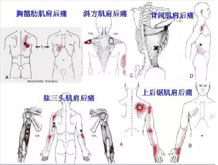 微信图片_20190924170024.jpg