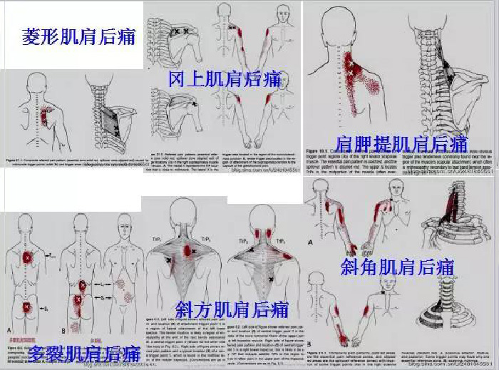 微信图片_20190924170029.jpg