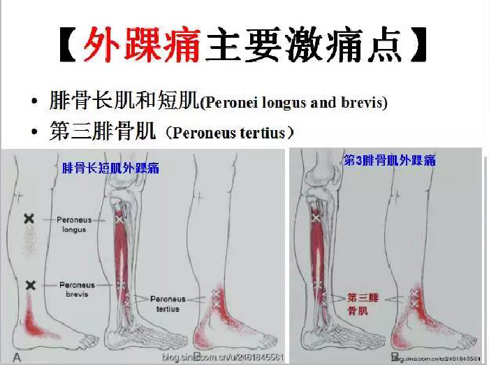 微信图片_20190924170303.jpg