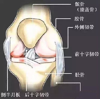 微信图片_20190924174536.jpg