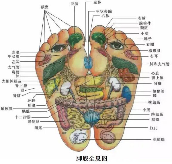 微信图片_20190924175553.jpg