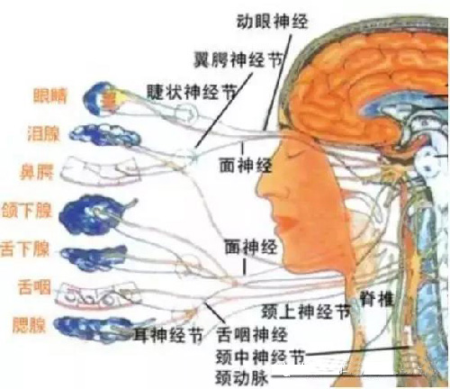 微信图片_20190925143042.jpg