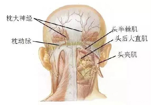 微信图片_20190925143045.jpg