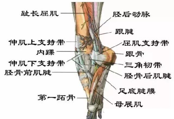 微信图片_20190925154442.jpg