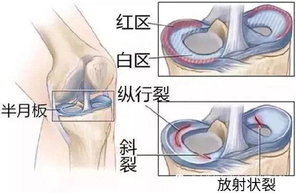 微信图片_20190925164322.jpg