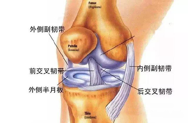 微信图片_20190925164324.jpg