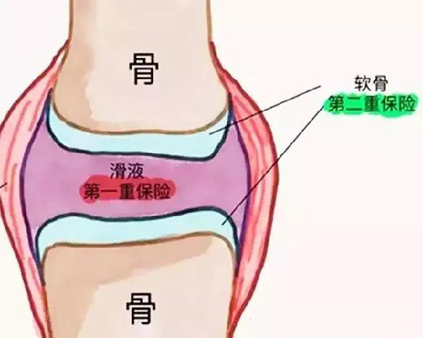 微信图片_20190925164326.jpg