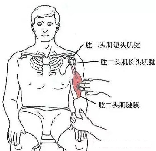 微信图片_20190925170915.jpg