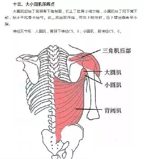 微信图片_20190925170926.jpg