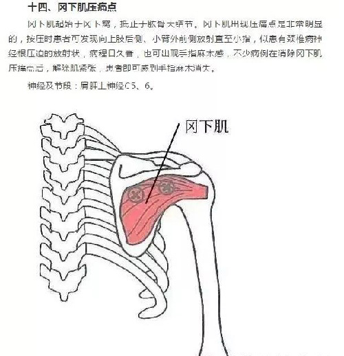 微信图片_20190925170933.jpg