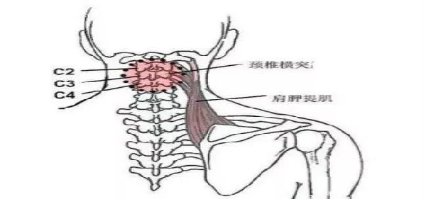 微信图片_20190926171443.jpg