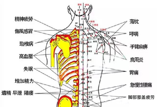 微信图片_20190927094718.jpg