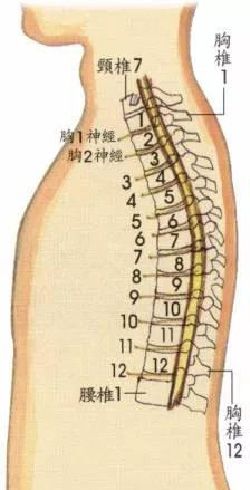 微信图片_20190927100743.jpg