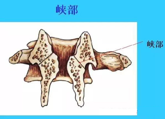 微信图片_20190927110944.jpg