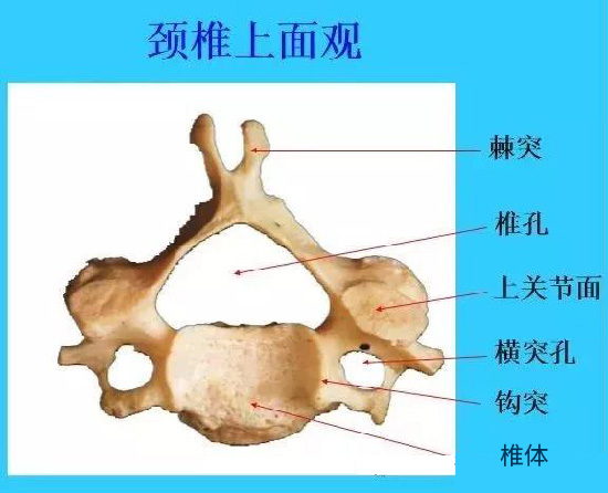 微信图片_20190927110956.jpg