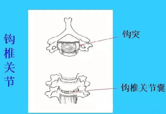 微信图片_20190927111016.jpg