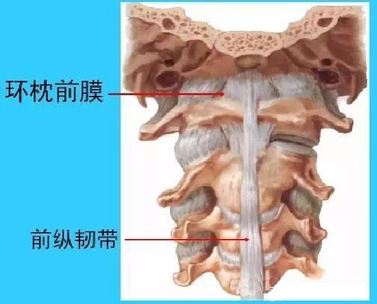 微信图片_20190927111019.jpg