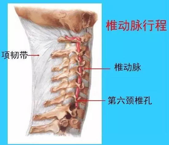 微信图片_20190927111024.jpg