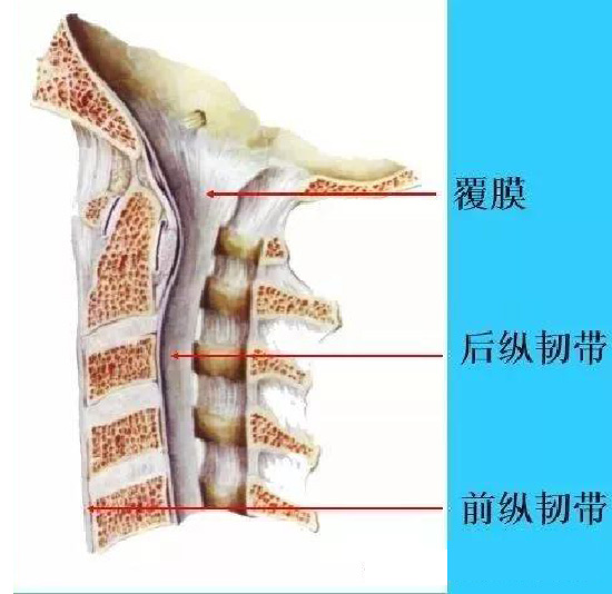 微信图片_20190927111107.jpg