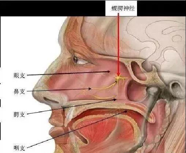 微信图片_20190927152937.jpg