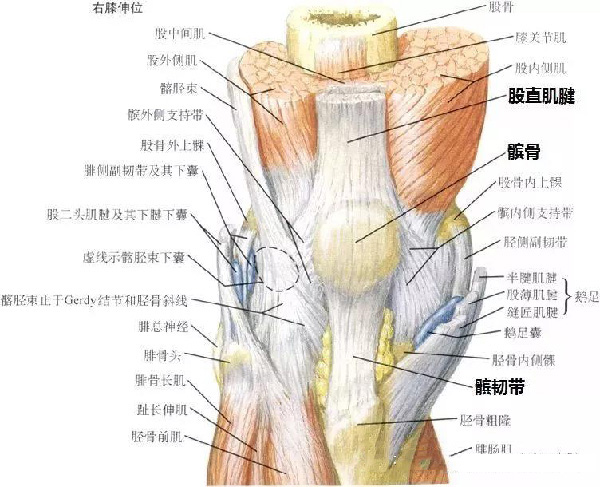 微信图片_20190927154128.jpg