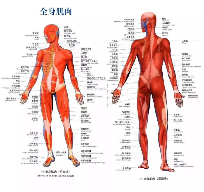 微信图片_20190927162043.jpg