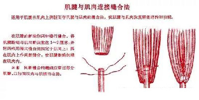 微信图片_20190927172554.jpg