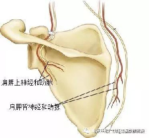 微信图片_20190928091724.jpg