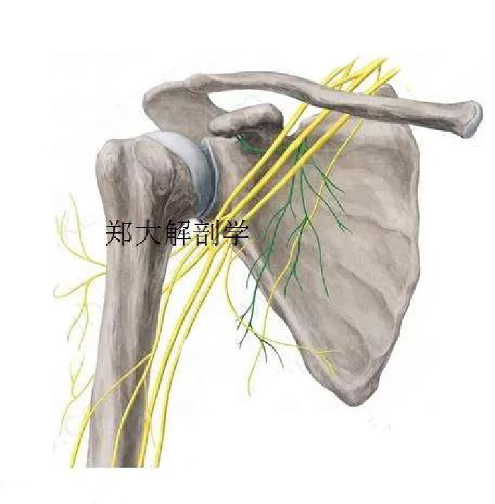 微信图片_20190928091840.jpg