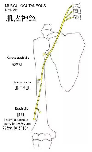 微信图片_20190928091902.jpg