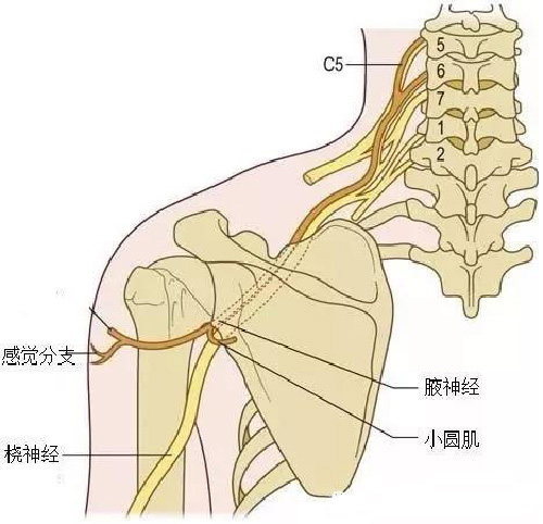 微信图片_20190928091909.jpg