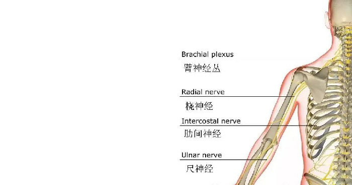 微信图片_20190928091923.jpg