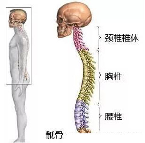 微信图片_20190928141003.jpg