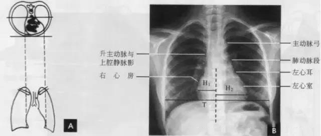 微信图片_20190930104249.jpg