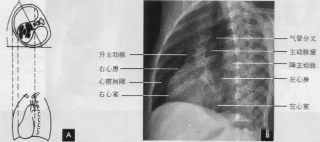 微信图片_20190930102613.jpg