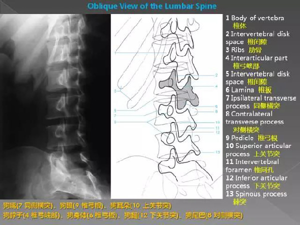 微信图片_20190930105104.jpg