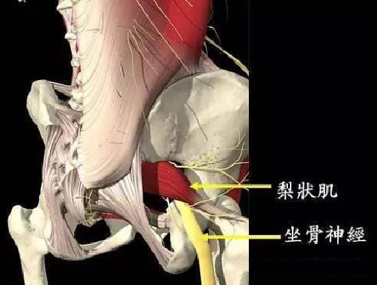 微信图片_20190930150545.jpg