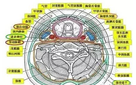 微信图片_20190930153005.jpg