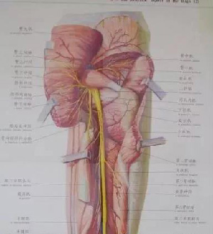 微信图片_20191009093227.jpg