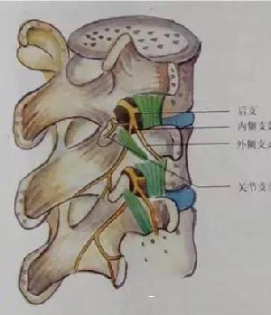 微信图片_20191009093238.jpg