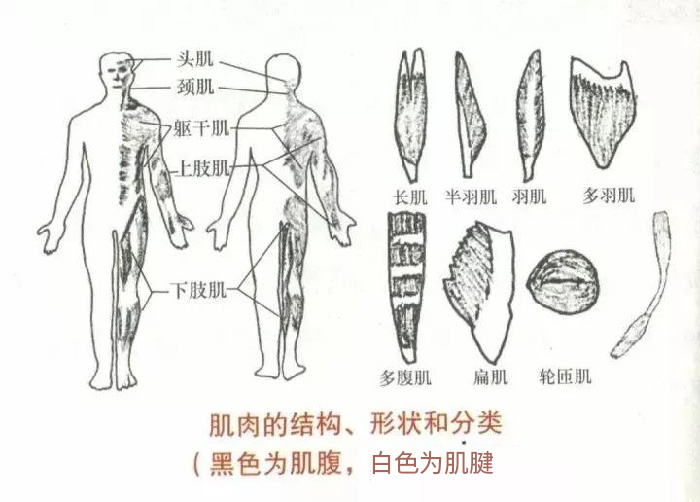 微信图片_20191009094027.jpg