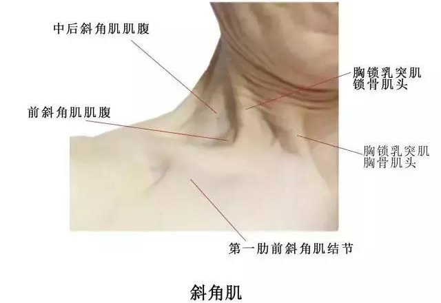 微信图片_20191009104051.jpg