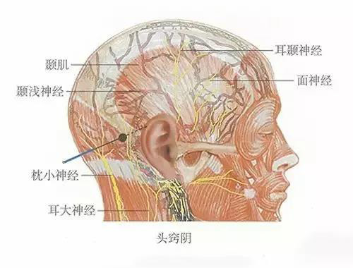 微信图片_20191009164306.jpg