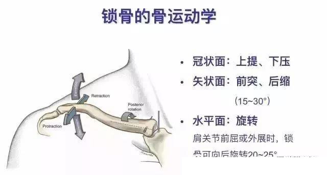 微信图片_20191009173126.jpg