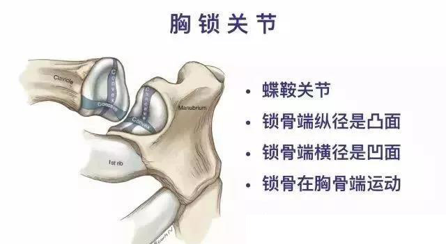 微信图片_20191009173128.jpg