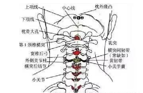 微信图片_20191108101845.jpg