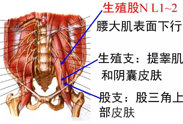 微信图片_20191108104308.jpg