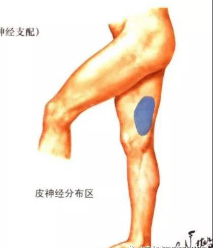 微信图片_20191108104327.jpg