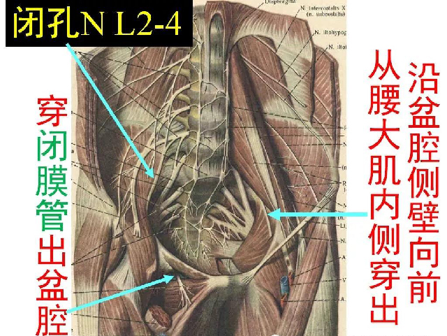 微信图片_20191108104329.jpg