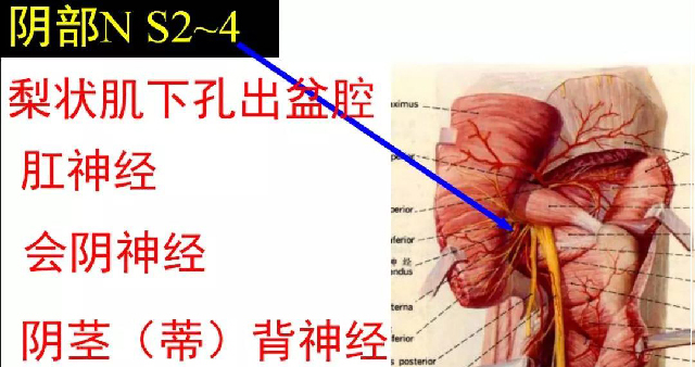 微信图片_20191108104333.jpg